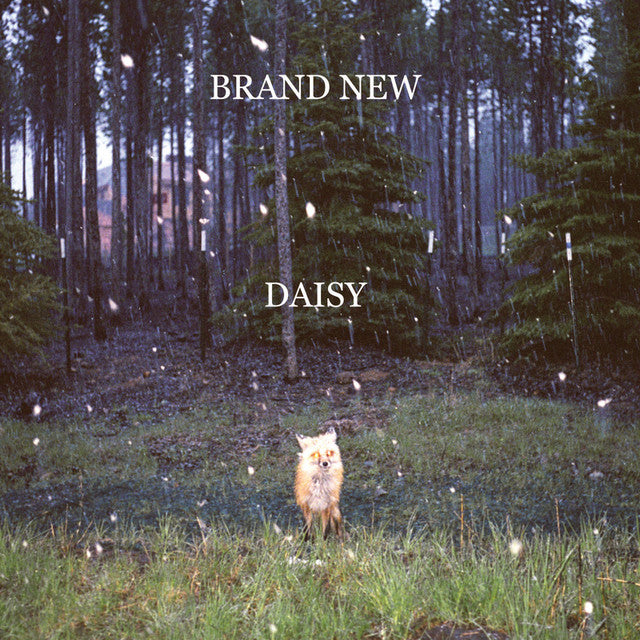 Brand New - Daisy