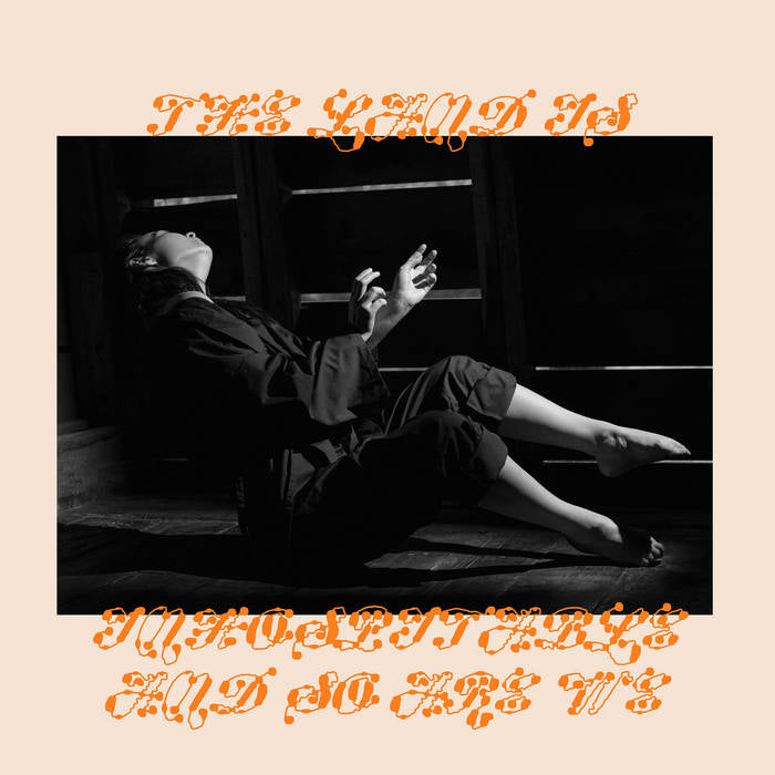 Mitski - Land Is Inhospitable & So Are We