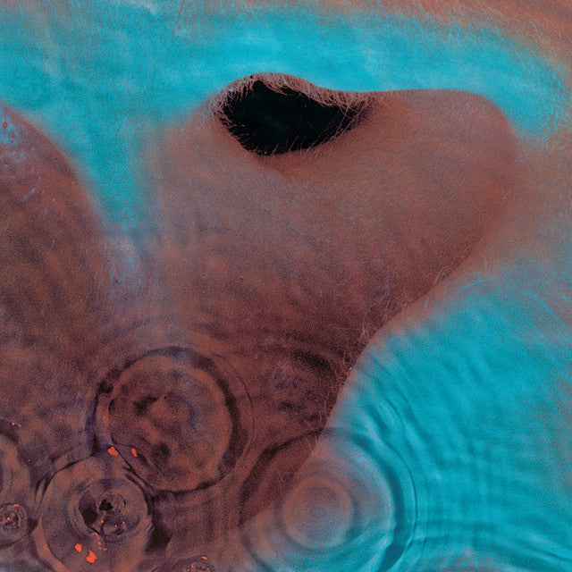 Pink Floyd - Meddle (180G / Gatefold / 2016 Version)