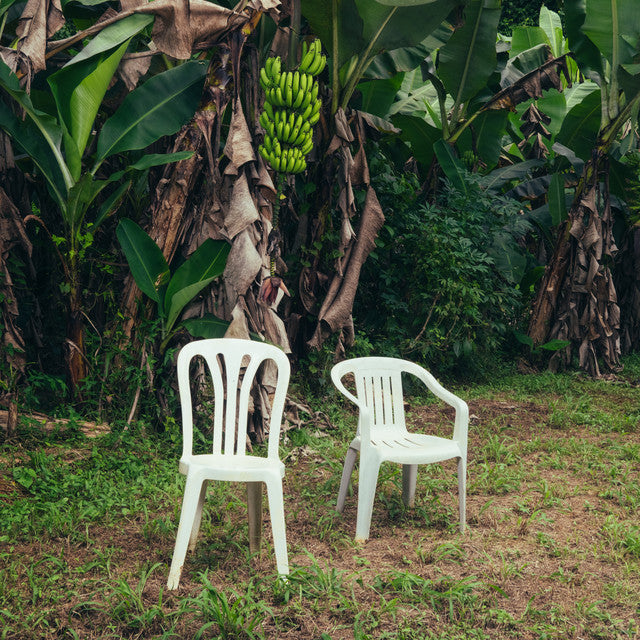 Bad Bunny - Debí Tirar Más Fotos (2LP/Opaque White Vinyl)