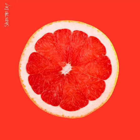 Saves the Day – Saves the Day