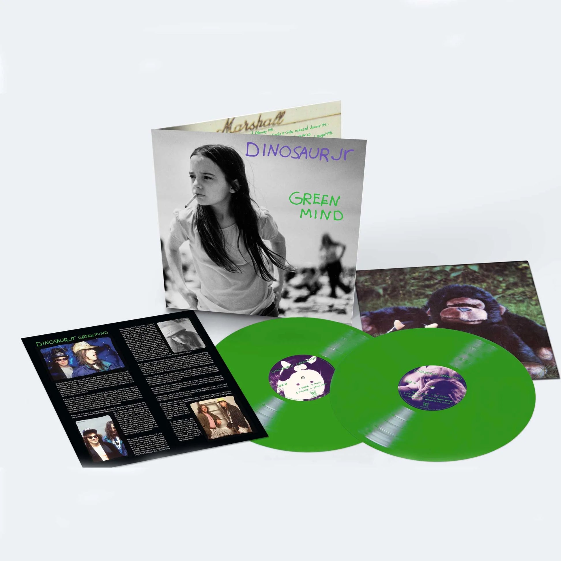 Dinosaur Jr. – Green Mind (Deluxe Expanded Edition) (Pre-order)